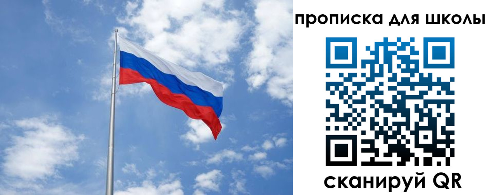 прописка поиск в Новом Осколе
